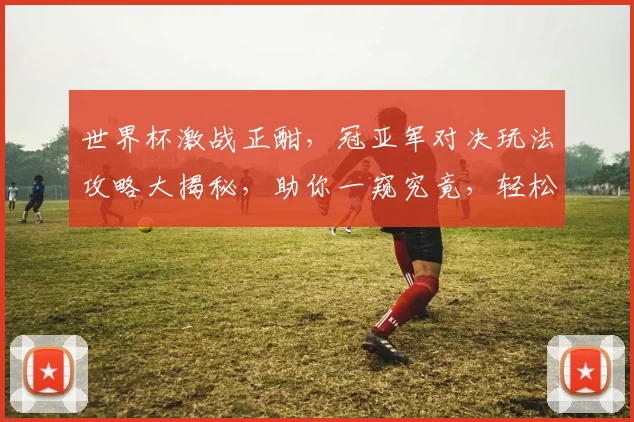 世界杯激战正酣，冠亚军对决玩法攻略大揭秘，助你一窥究竟，轻松锁定胜利