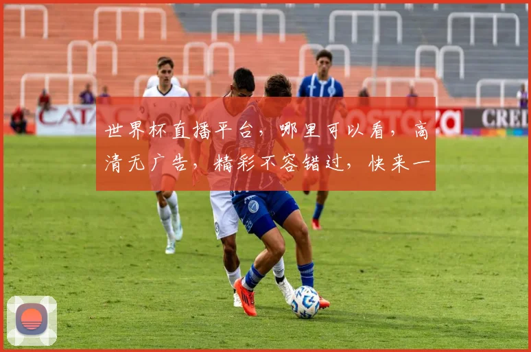 世界杯直播平台，哪里可以看，高清无广告，精彩不容错过，快来一起见证